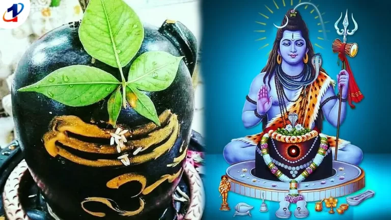 Lord Shiva Puja near maredu tree with bilva maredu dalam in telugu