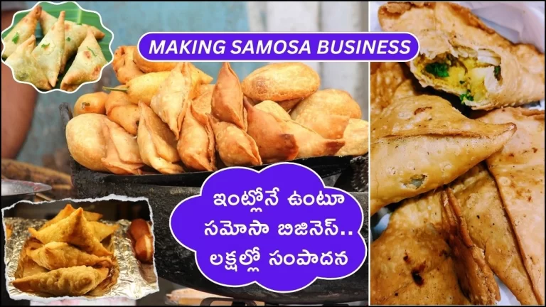 How to Start Making Samosa Business Ideas with Low Investment in Telugu