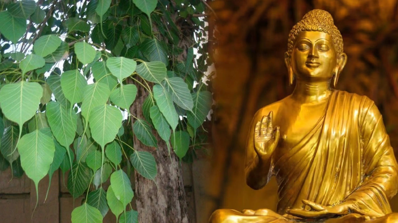 Vaishakh Purnima 2024 : Significance of Vaishakha Pournami and Buddha Purnima