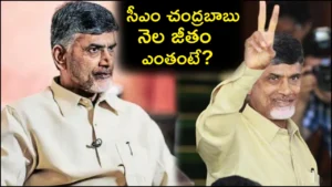 CM Chandrababu Salary For Month as Chief Minister of Andhra Pradesh in Telugu