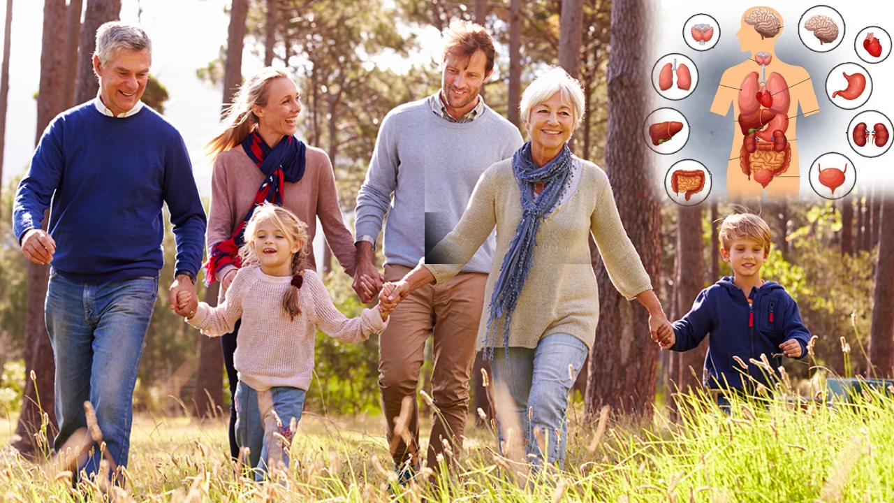 Daily Health Tips : ఆరోగ్య సూత్రాలు.. ఇలా పాటిస్తే మీ లైఫ్లో అనారోగ్య సమస్యలే ఉండవు! Daily Health Tips _ How to Live Healthy Lifestyle in telugu