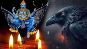 Spiritual Meaning of Seeing A Black Crow Superstition on Saturday in Telugu