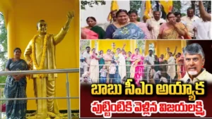 TDP Woman Fan Back to Her Birth Place After Five Year of Chandrababu Naidu CM in Khammam