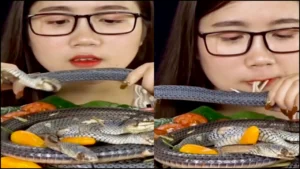 Viral Video _ South Korean Woman bites snakes as noodles in Telugu