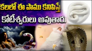 dream snake chasing me and meaning of dream snake bite Telugu
